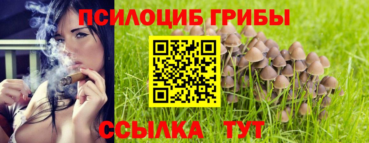Псилоцибиновые грибы Cubensis Зеленокумск
